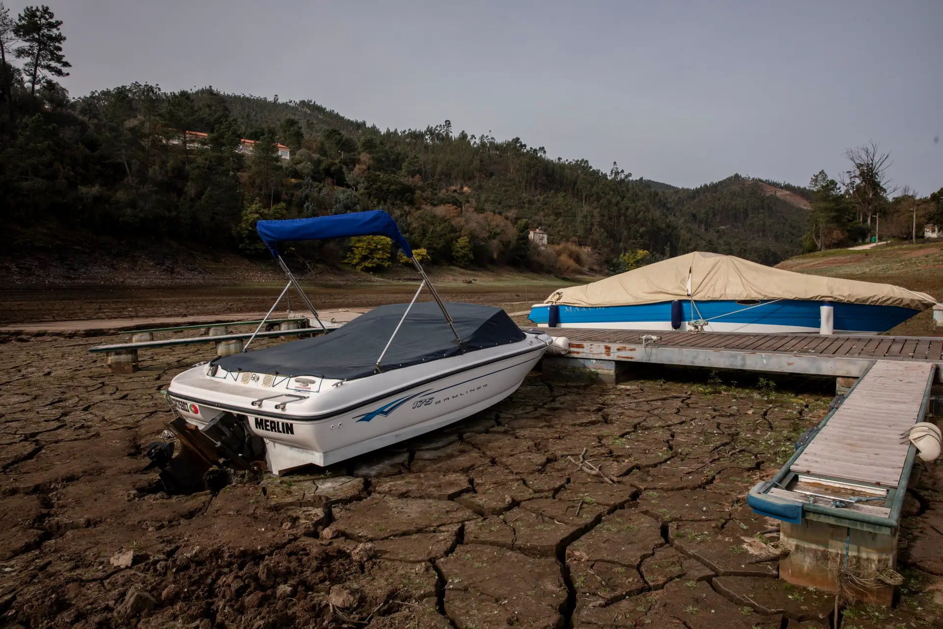 Seca: mais de 90% do território em seca severa ou extrema
