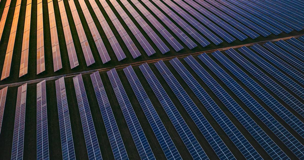 Segundo maior projeto solar do país levará um milhão de painéis a Nisa