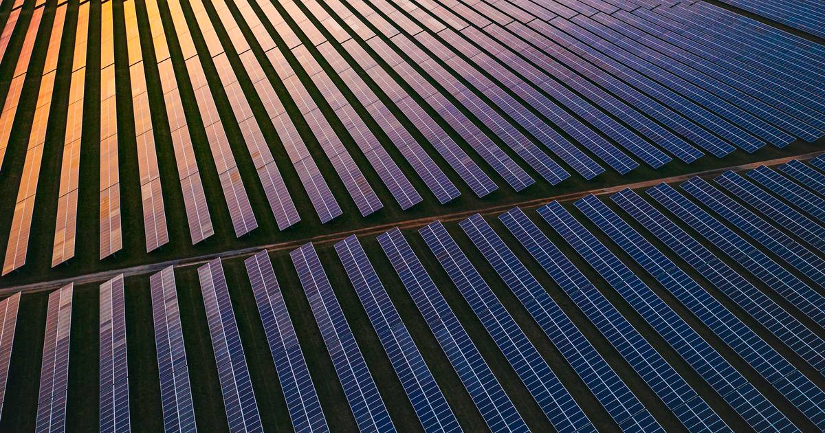 Vem aí a Sophia: será uma das maiores centrais solares do país e terá um investimento de quase €600 milhões