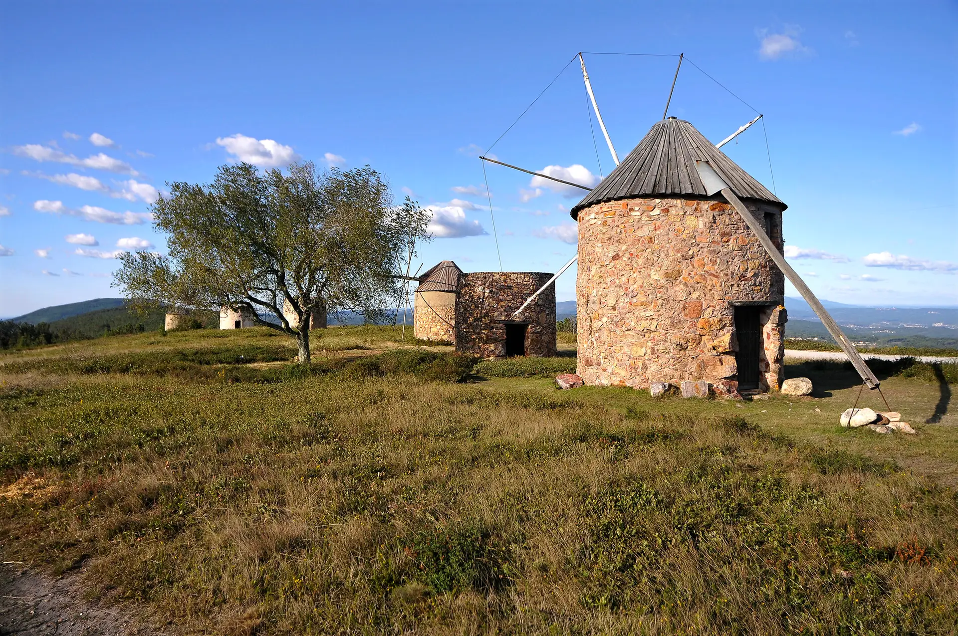 Conheça os oito segredos do Roteiro do Arista