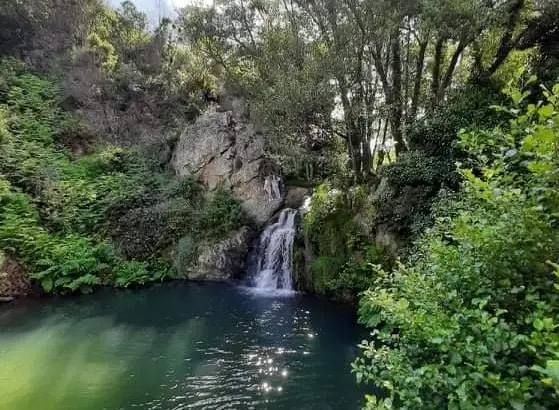 No Médio Tejo à descoberta das novas Rotas de Mação
