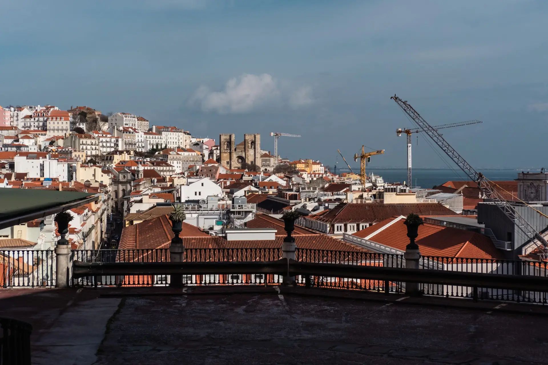 Foto: João Carlos Santos
