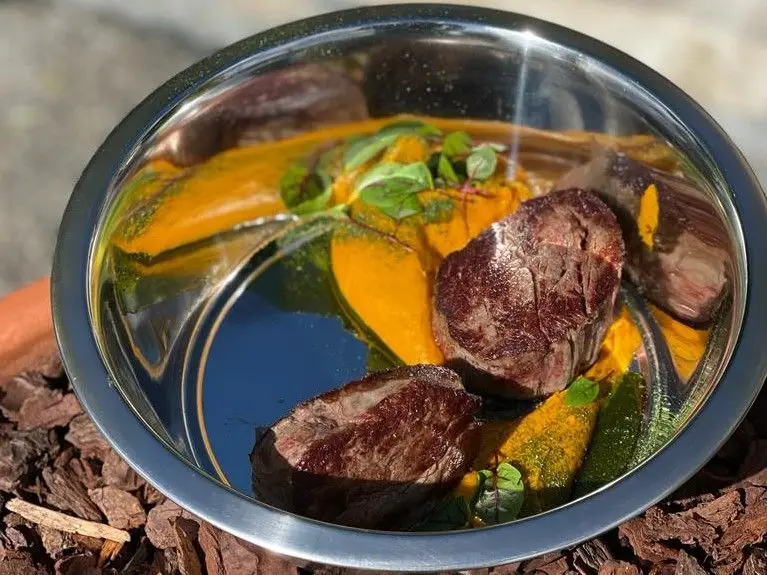 Galinha do campo ao vapor e Borrego estufado com ervilhas biológicas: restaurante premiado estreia ementa para cães