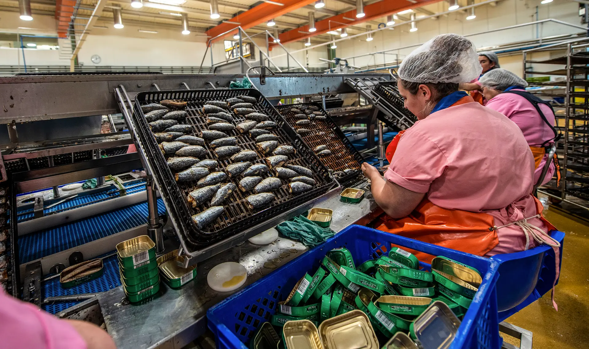 Os preços do óleo de girassol, essencial à indústria conserveira, estão a disparar. Sector precisa de soluções alternativas