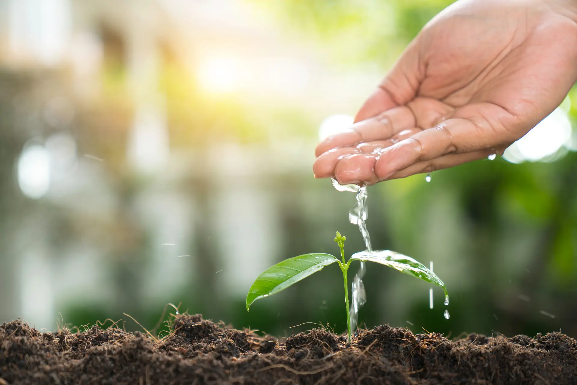 “Mais linhas de crédito significam mais dívidas para os agricultores e não é isso que agora precisamos”, diz o presidente da CAP