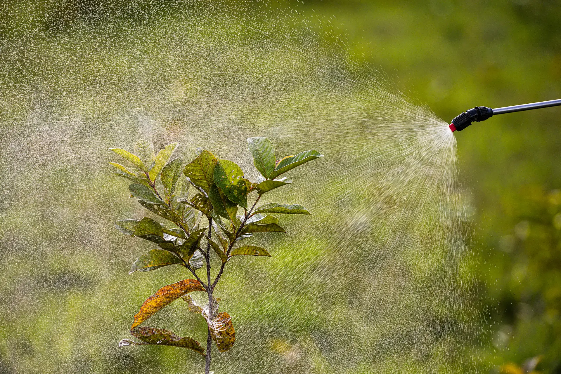 Sector de pesticidas procura sabotar política europeia