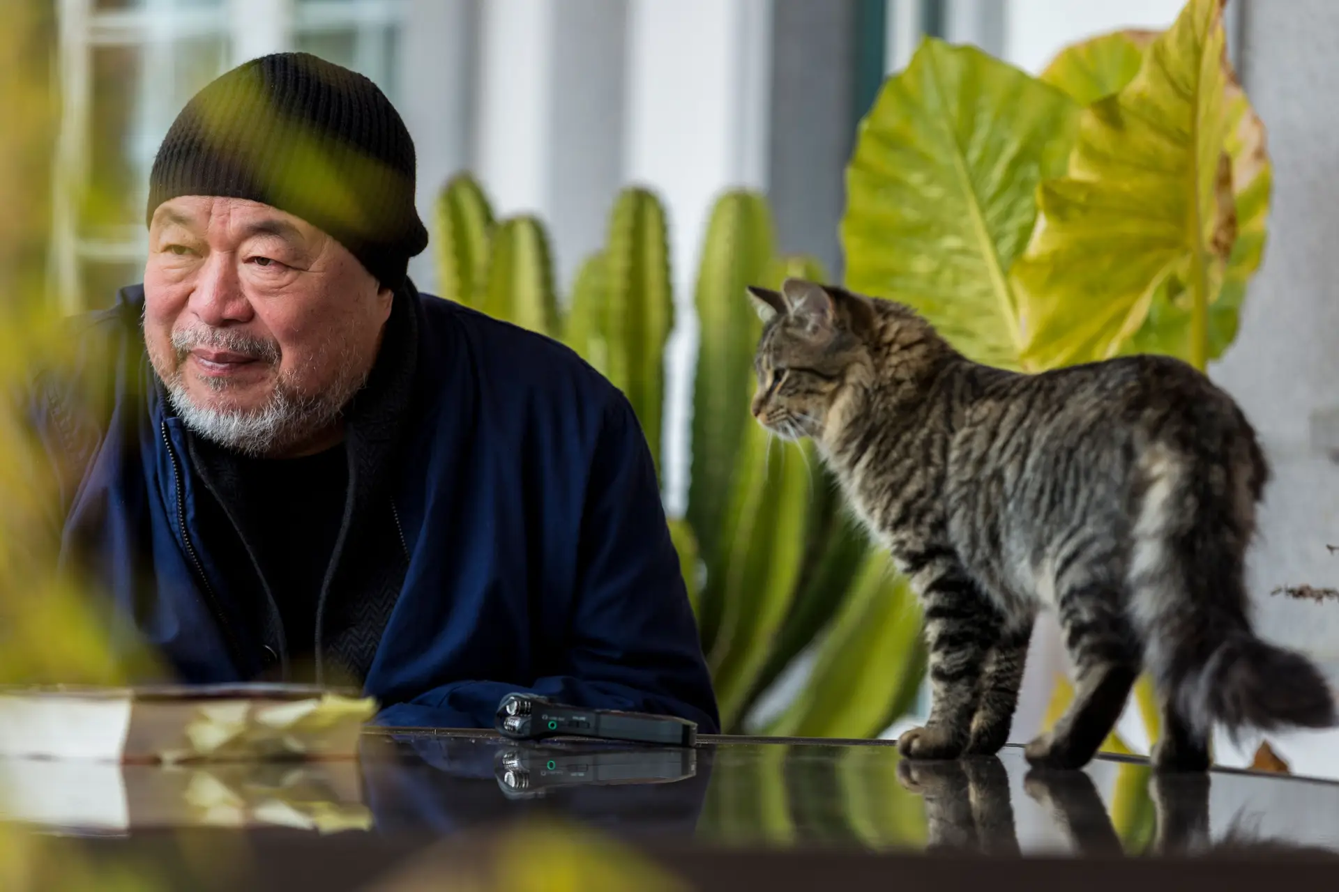 Ai Weiwei: visita de Pelosi a Taiwan foi "um momento crucial”