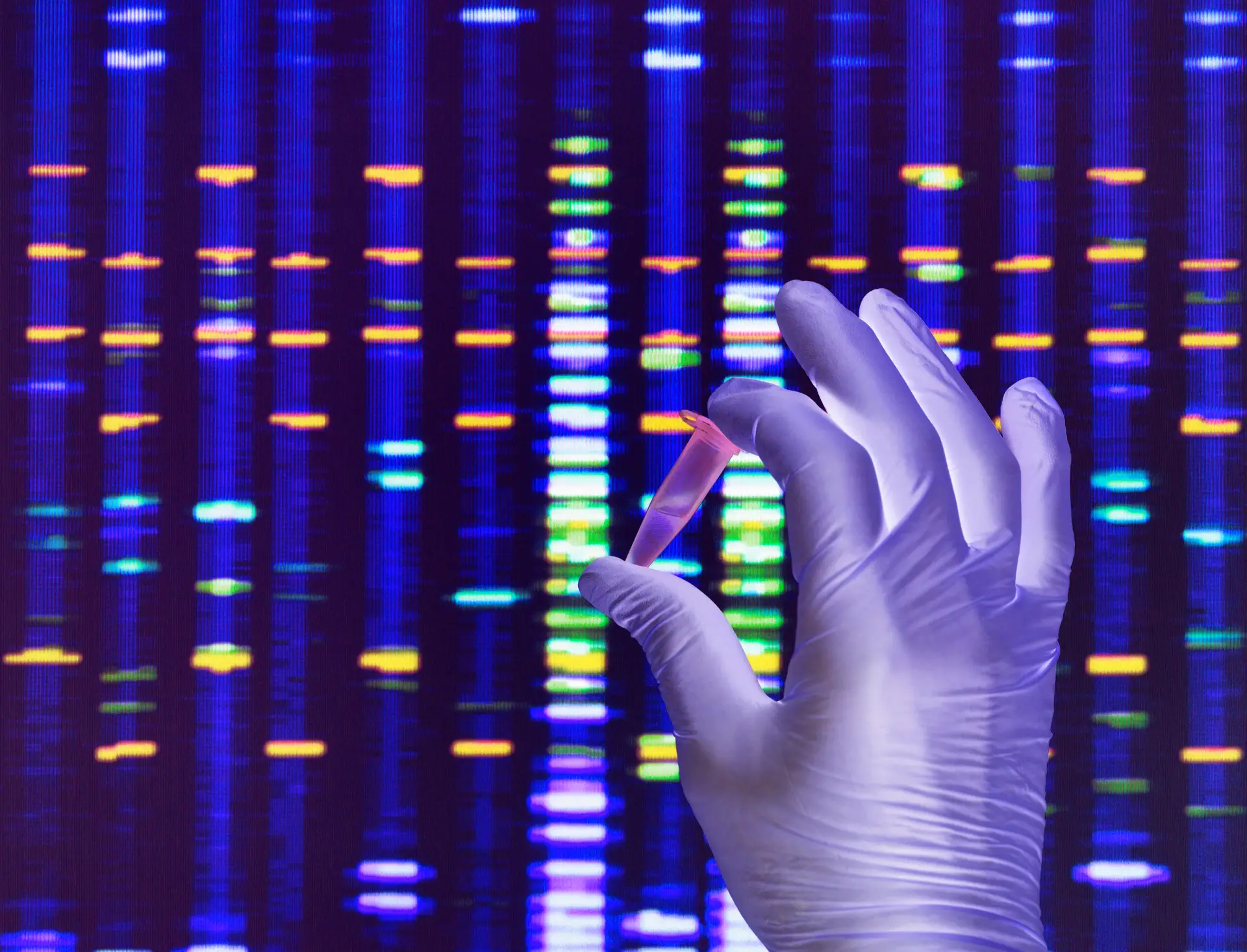 Cientistas portugueses realçam importância de primeiro genoma humano completo