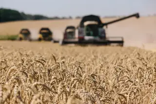 A Ucrânia está entre os principais produtores mundiais de cereais (Foto: colheita na região de Kharkiv em 2017)