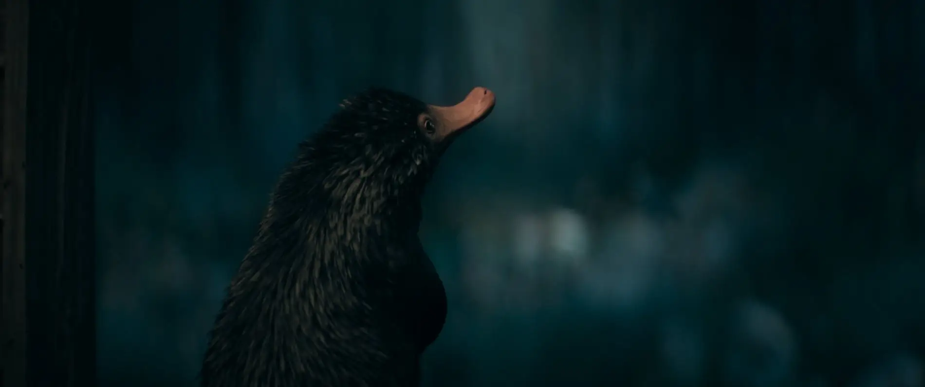 Há uma nova aventura de “Monstros Fantásticos” nos cinemas. “Os Segredos de Dumbledore” serão revelados?