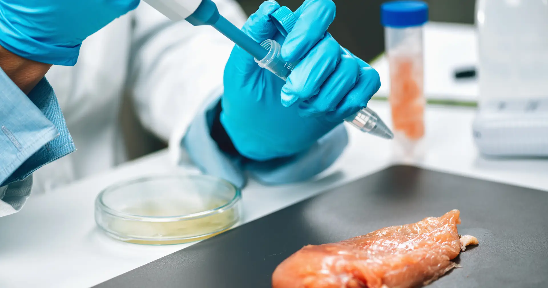 Relatório: as carnes de laboratório são uma história de “hype” e “marketing” e “não vão salvar o planeta”