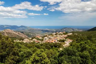 Ολιάστρα