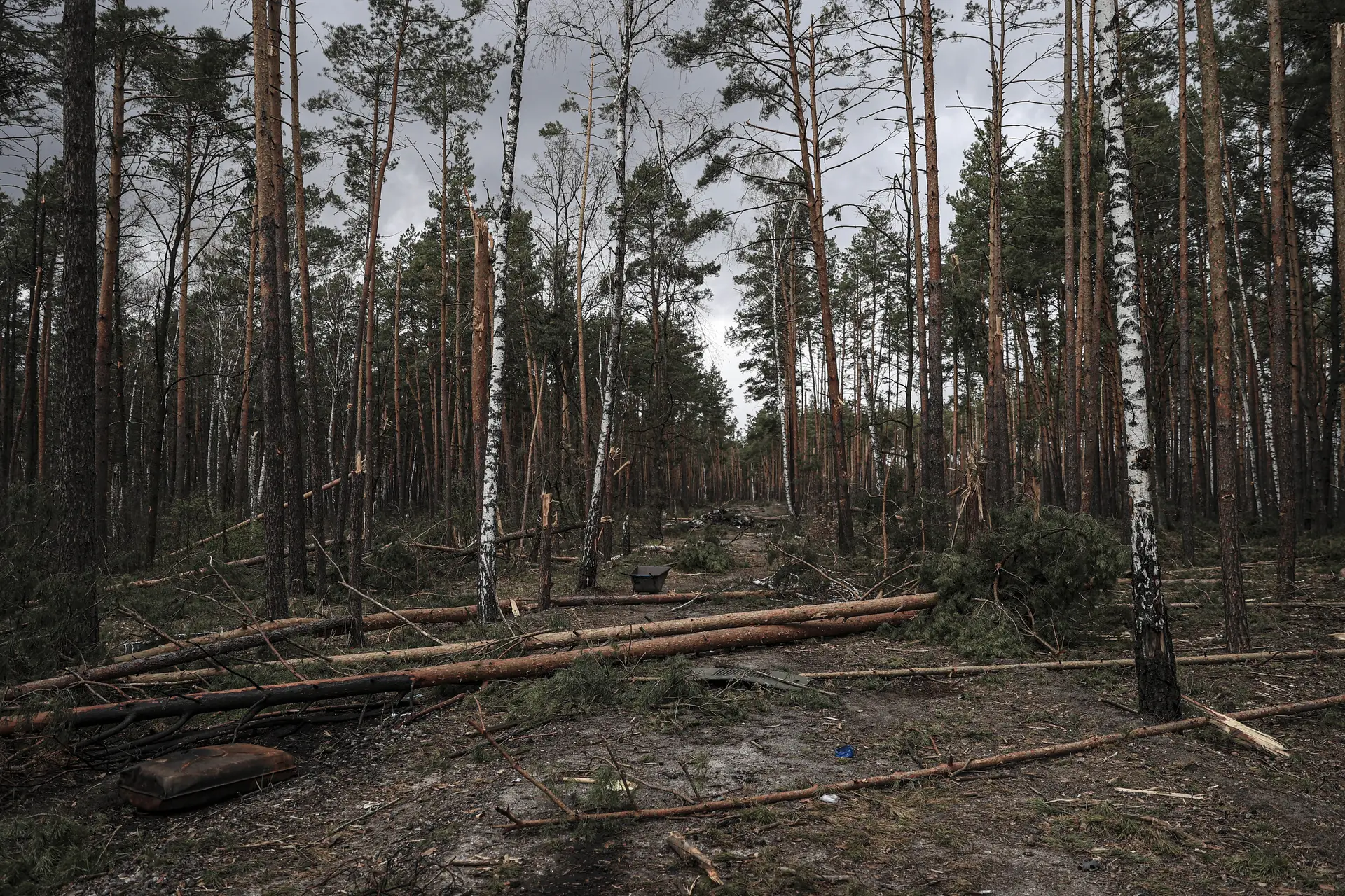 Metais pesados no solo, poluição dos rios, ácido nítrico no ar, radiações: invasão da Ucrânia tem impacto ambiental devastador