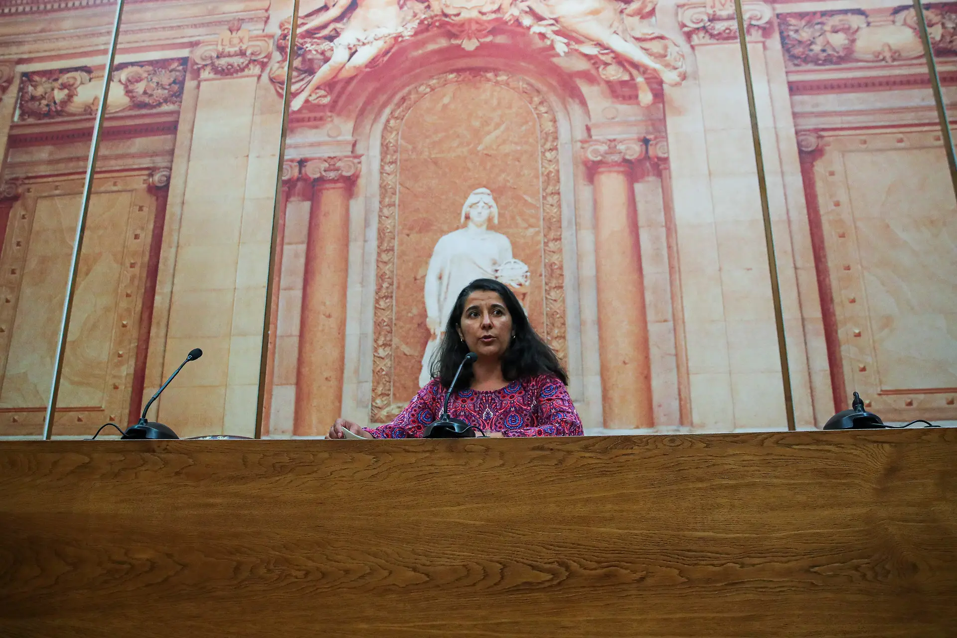 A líder parlamentar comunista, Paula Santos, a anunciar a ausência do PCP na sessão plenária do Parlamento que ouviu o Presidente ucraniano