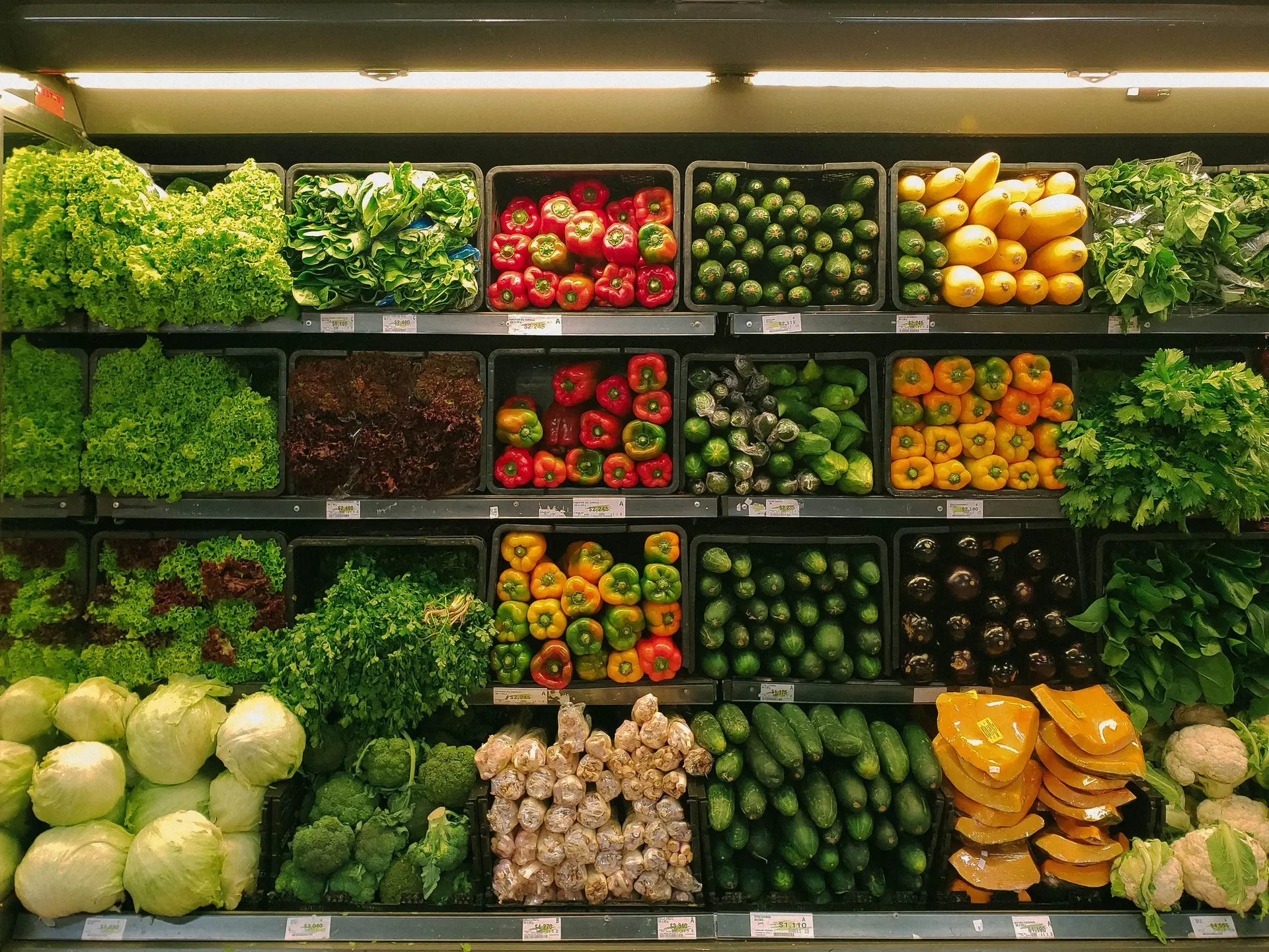 Faltam “alternativas” para vegetarianos ao cabaz com IVA zero, leite em pó para bebés “poderia ser incluído”