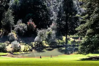 Piquenique de Aniversário no Parque e Palácio de Monserrate