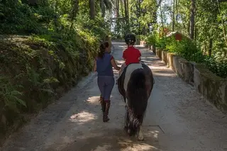 Piquenique para Avós e Netos na Quintinha de Monserrate