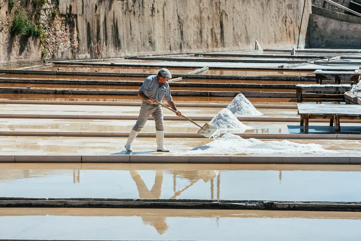 Salinas de Rio Maior