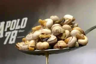 Apolo 78