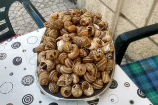 Casa dos Caracóis