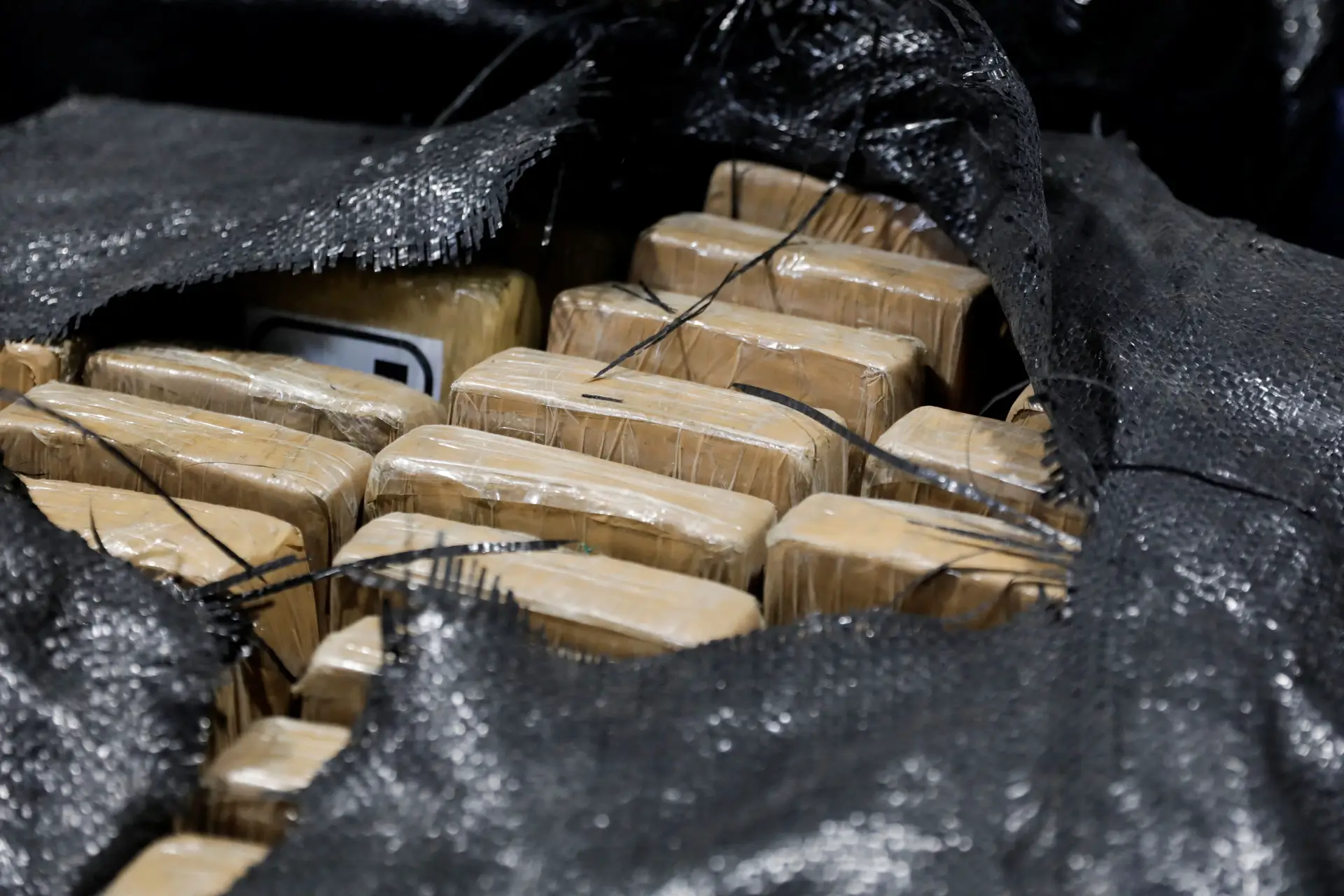 PJ e Polícia Federal brasileira apertam o cerco a grupo apanhado em Portugal com 320kg de cocaína disfarçada numa “grande carga de açaí”