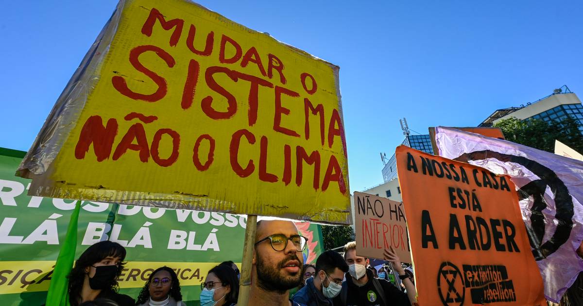 Há quatro empresas portuguesas entre as 330 líderes mundiais da ação climática