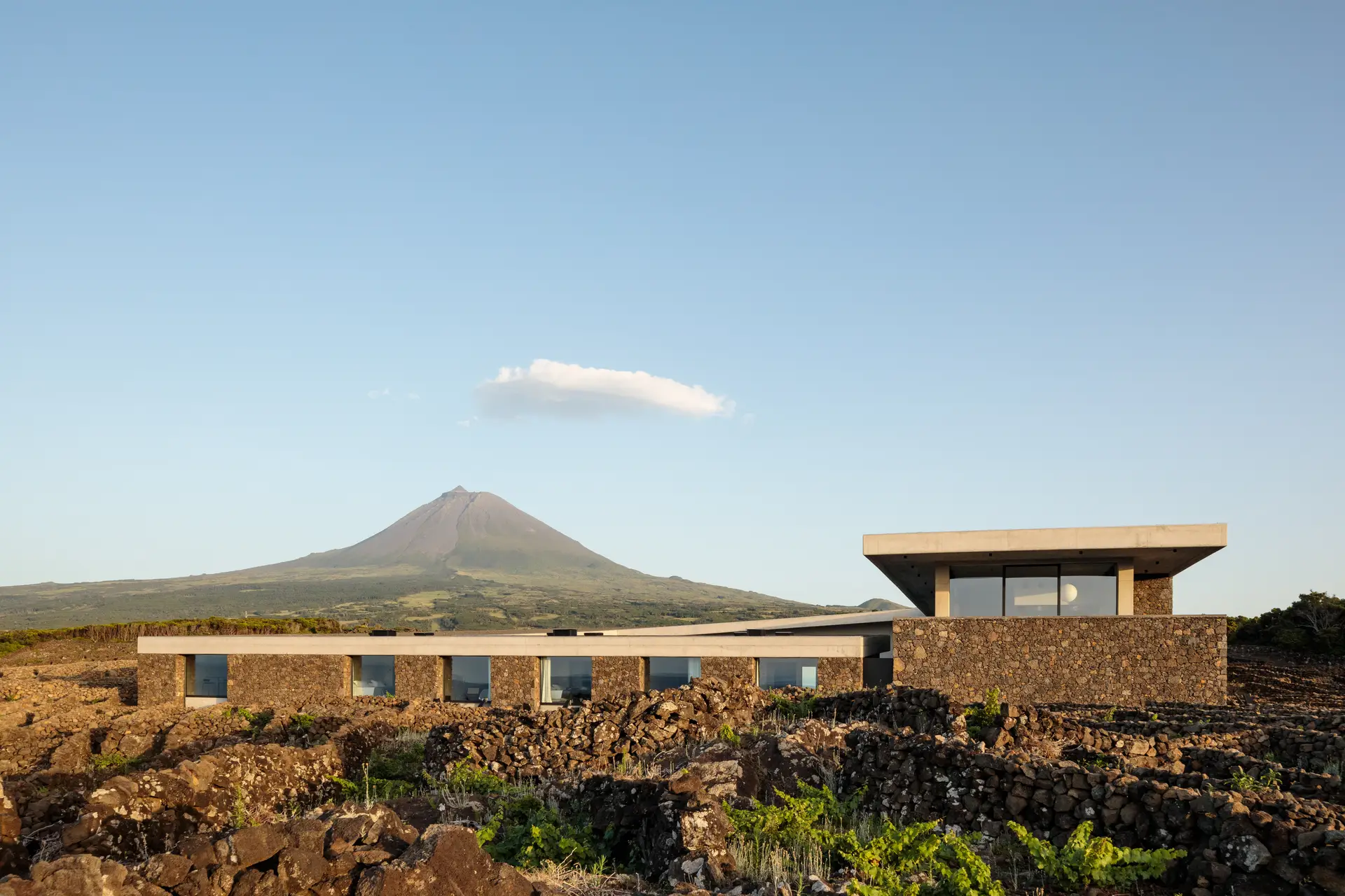 O admirável mundo novo da Azores Wine Company na ilha do Pico
