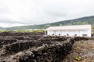 Ínsula Alantis