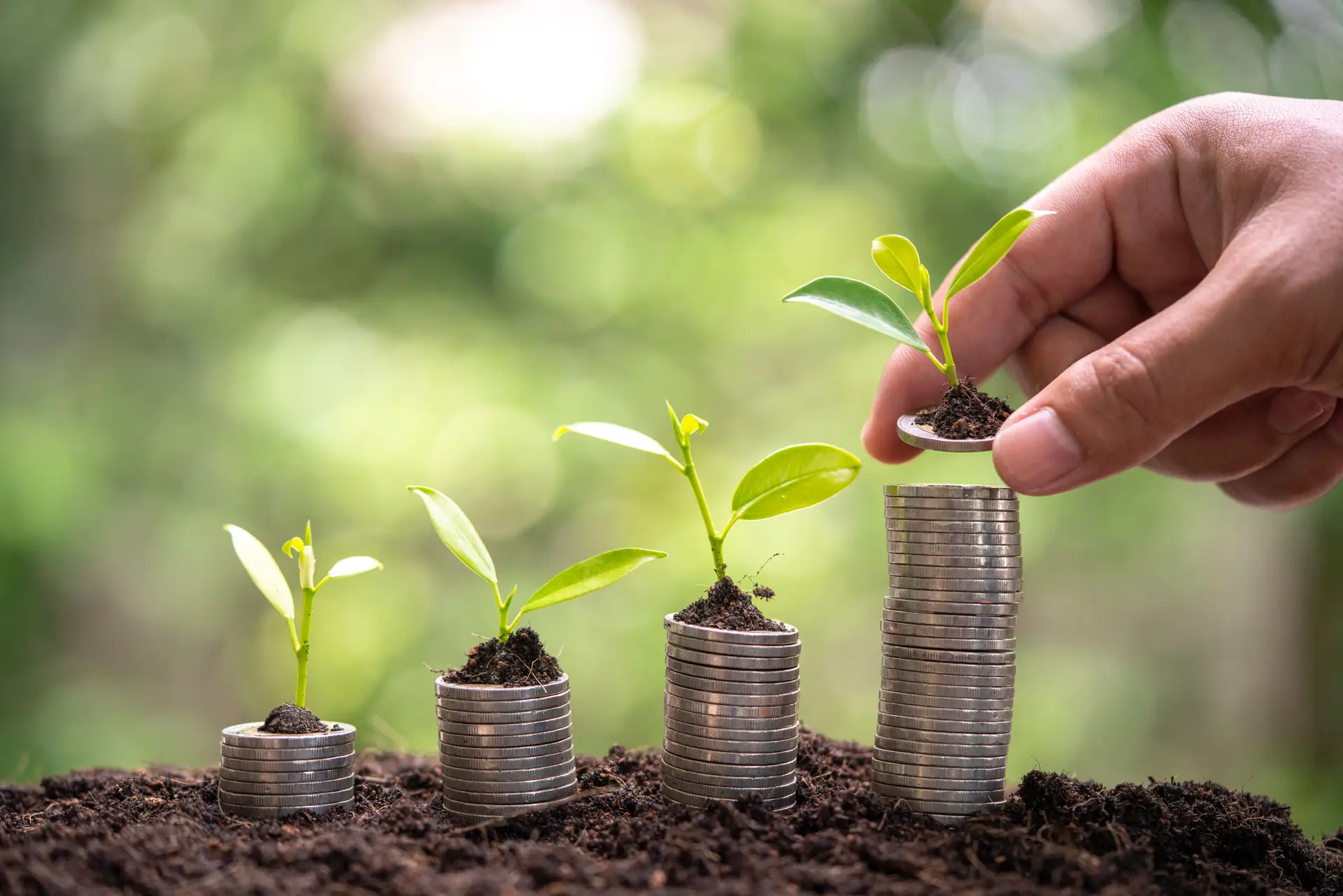 Sustentabilidade na banca? "O caminho não pode ser igual ao que tivemos nos século XX"