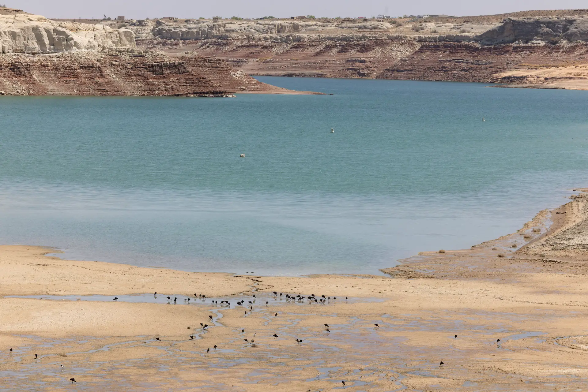 Clima: aquecimento global causado pela humanidade atinge ritmo sem precedentes
