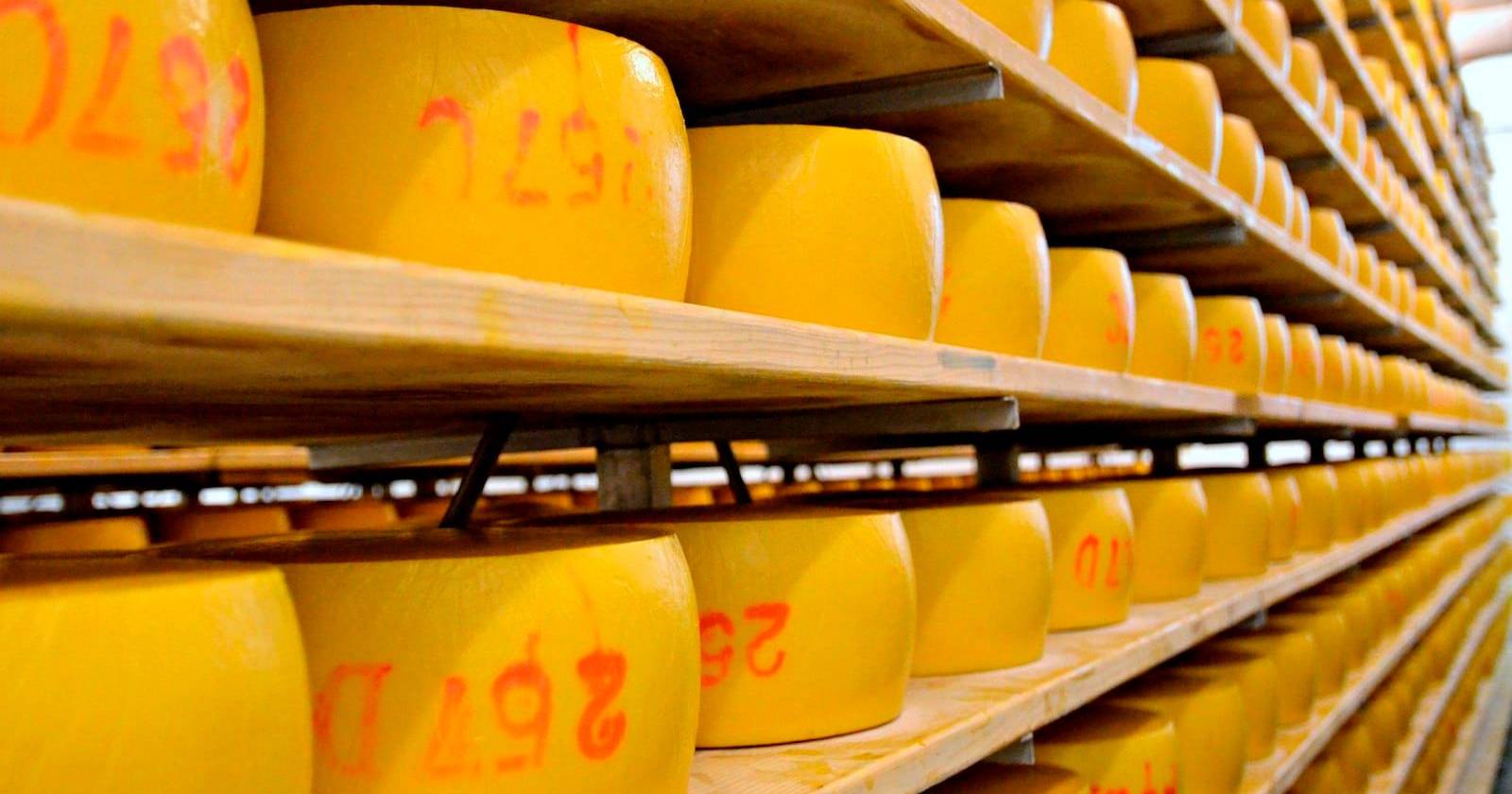 Queijo, bacalhau e carne: 140 quilos de alimentos apreendidos pela ASAE ...