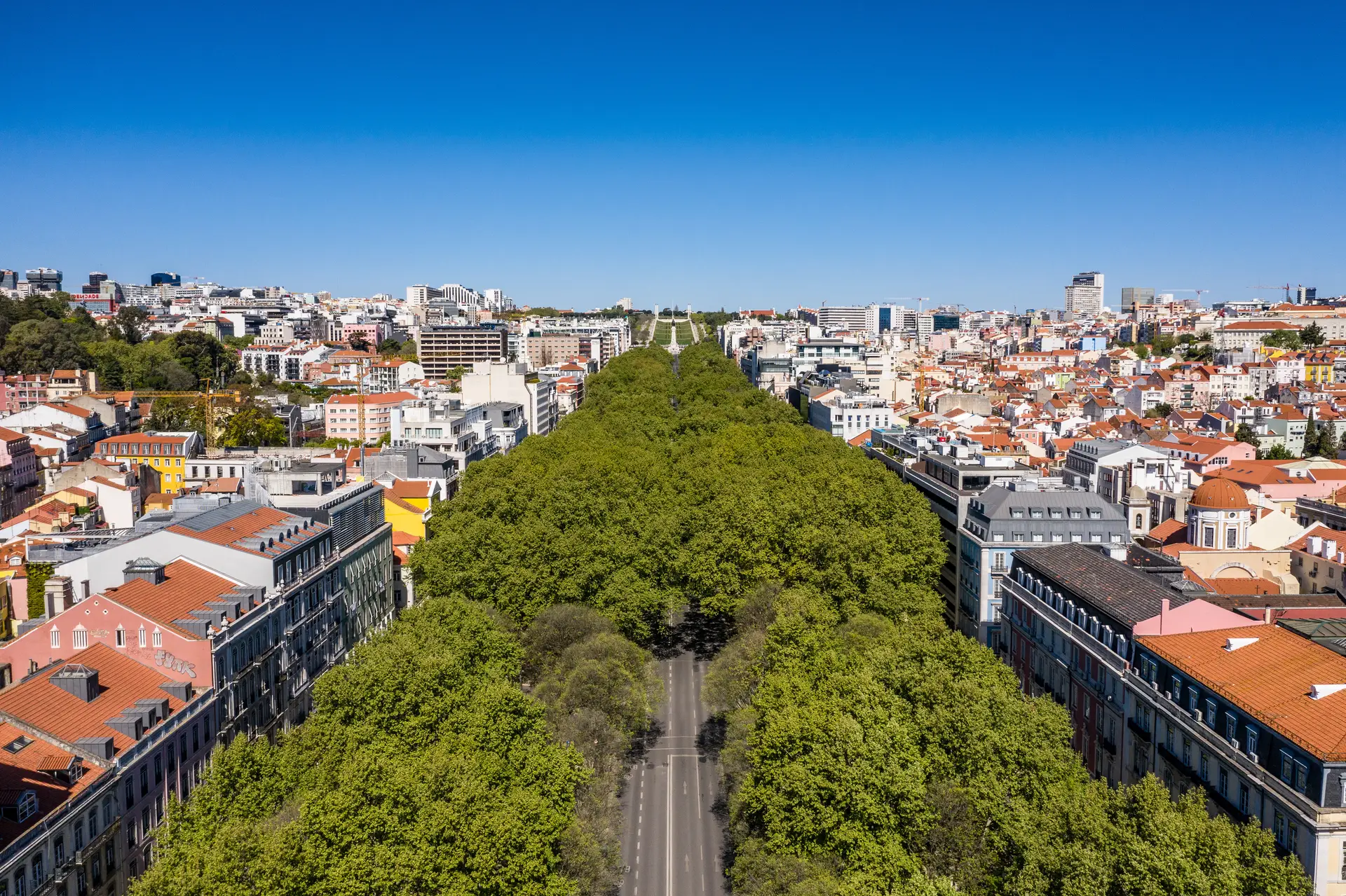 Poluição do ar na Av. da Liberdade em Lisboa “12,5% acima” do limite legal durante 2022, denuncia ZERO