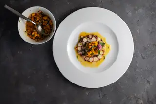 Carpaccio de polvo com molho de manga