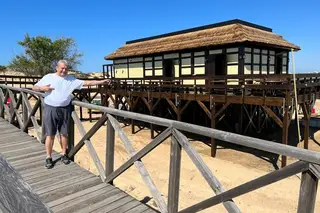 Bernardo Reino - Gigi