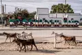 Estados independentes que ninguém ou poucos reconhecem