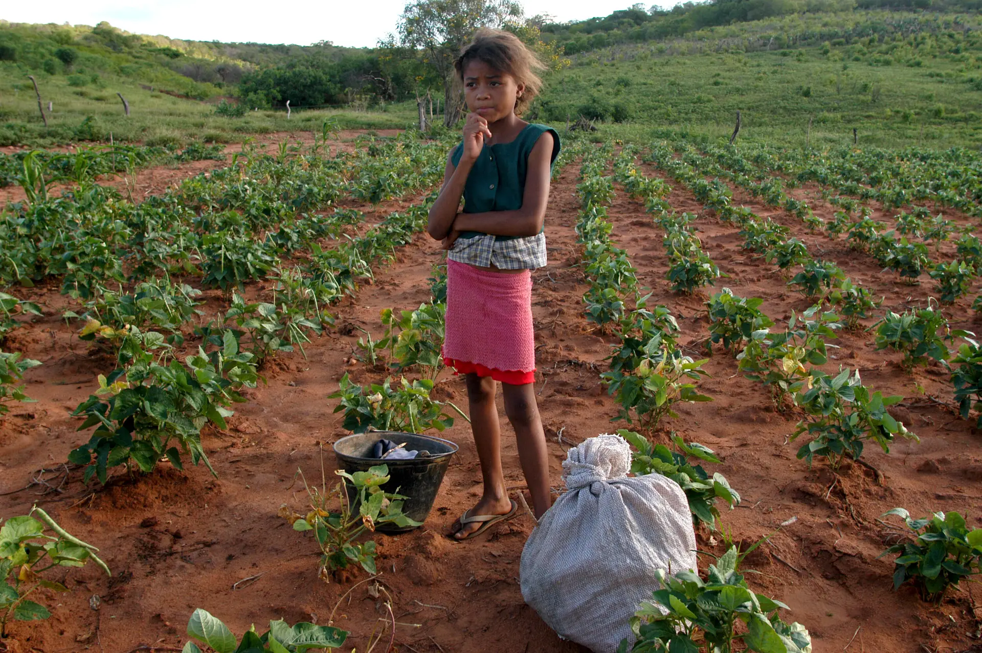 Fome no Brasil atinge nível recorde em 2021 e excede a média mundial