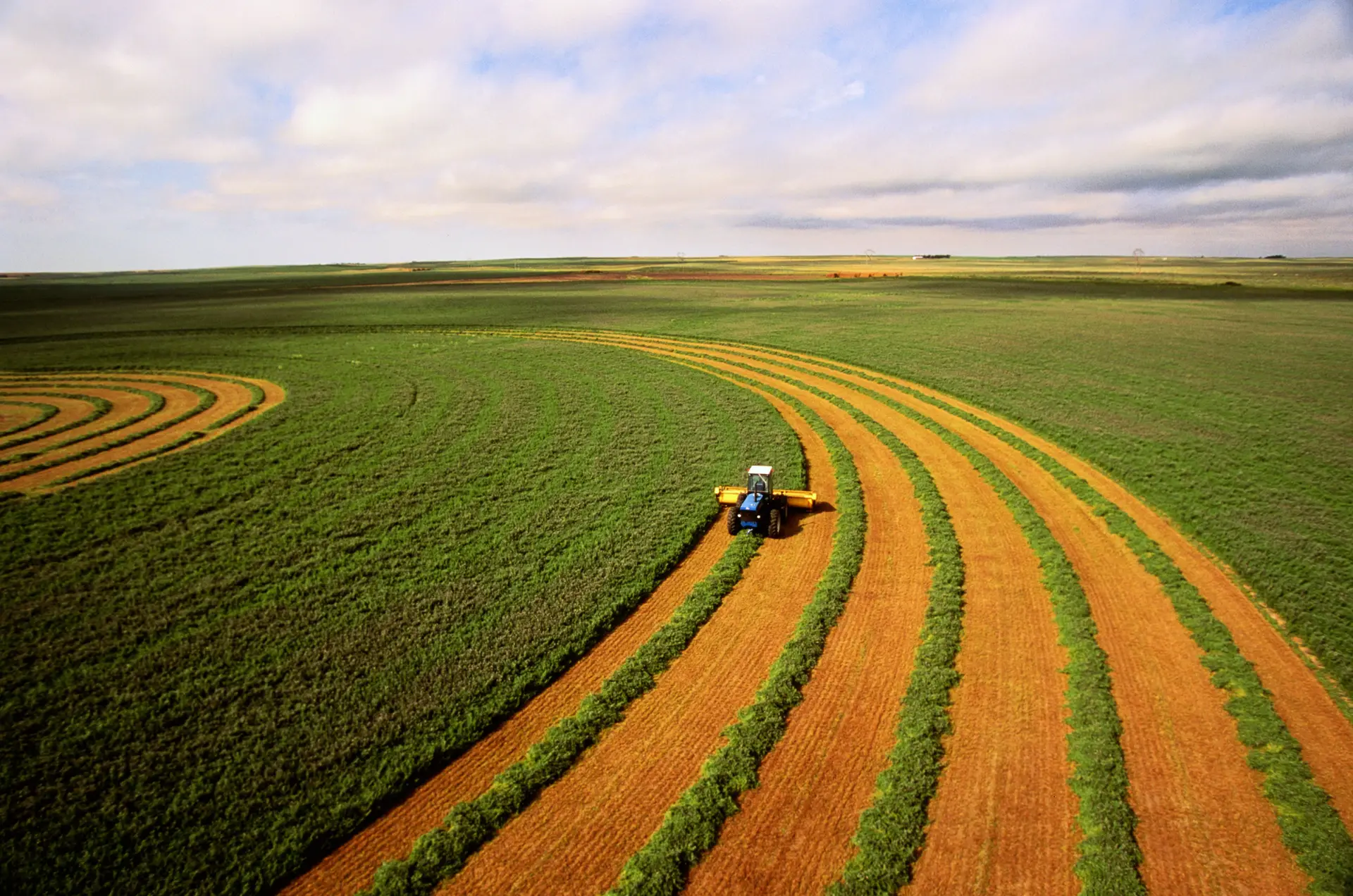 Pagamentos de apoio excecional a agricultores devem começar na próxima semana