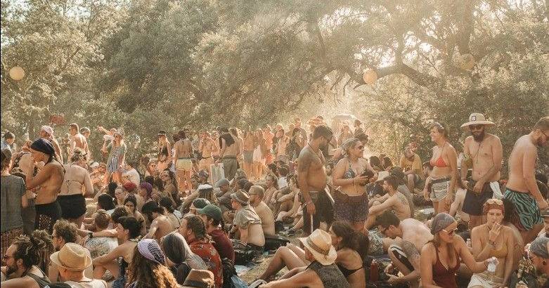 PJ prende mais traficantes no Boom Festival: vendiam LSD, MDMA e cogumelos, que renderam €11 mil