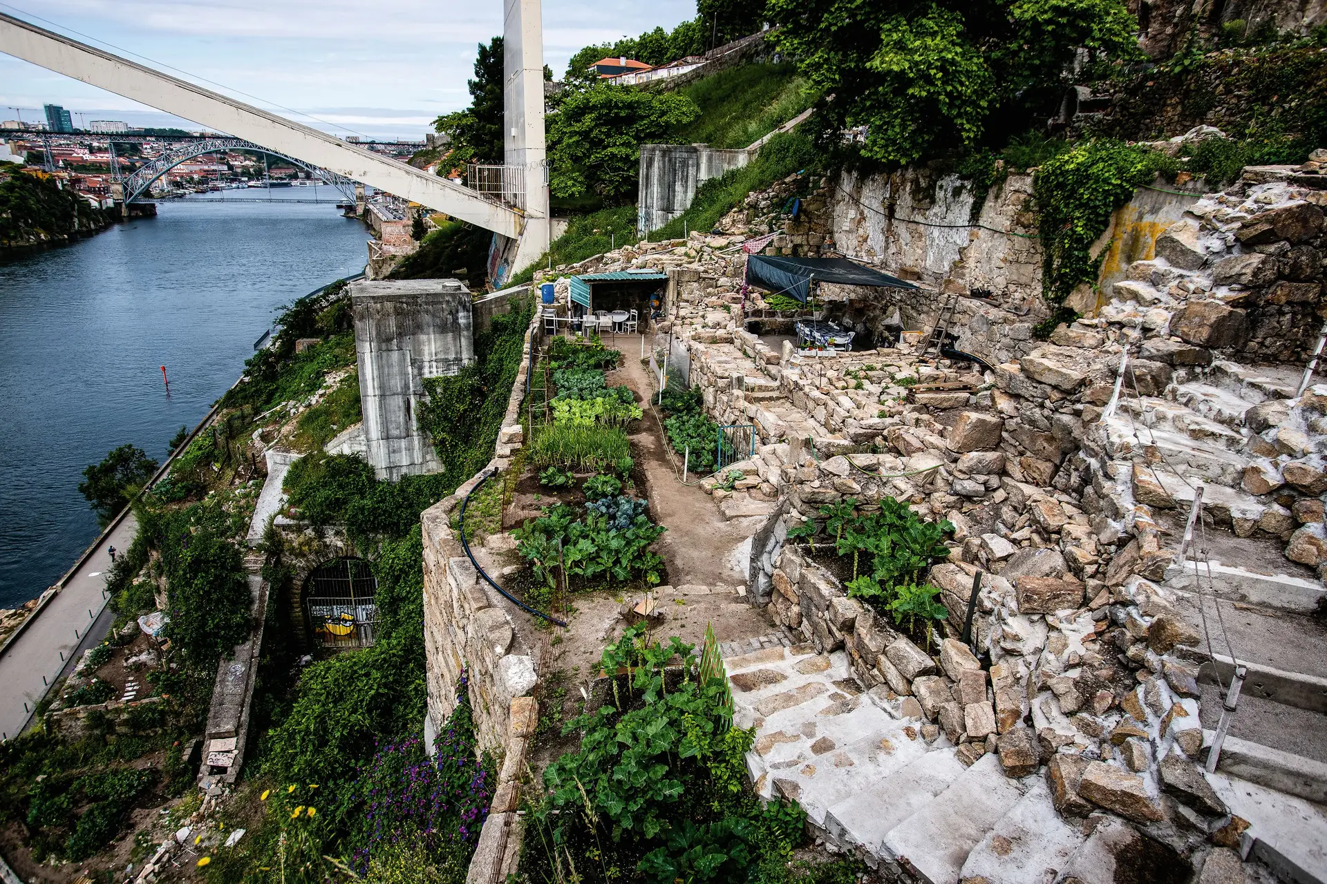 No Douro plantaram-se hortas urbanas em escarpas