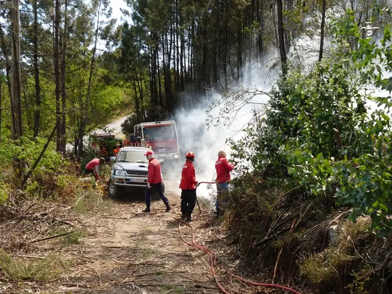 Incêndio de Castelo Branco ainda mobiliza bombeiros em dia com 41 fogos ativos