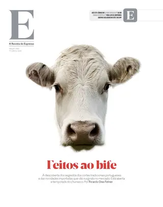 Revista E