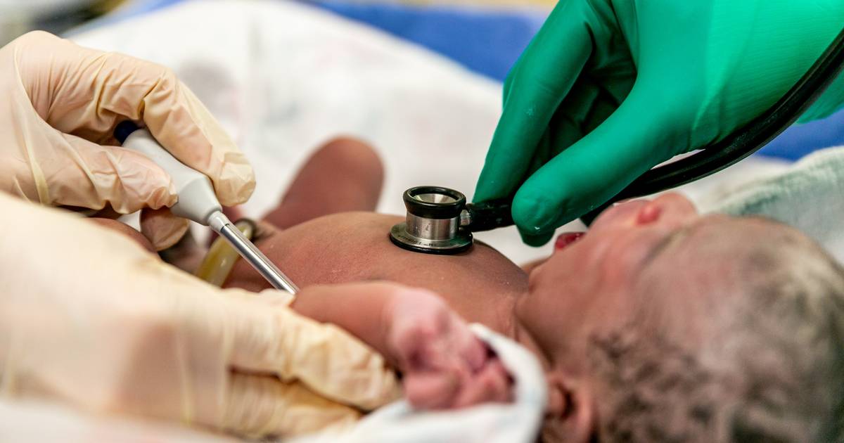 Nenhum recém-nascido pode sair da maternidade sem registo e sem número de utente