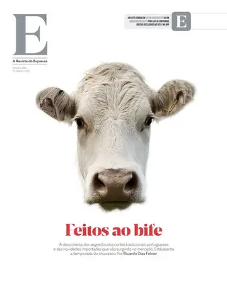 REVISTA E