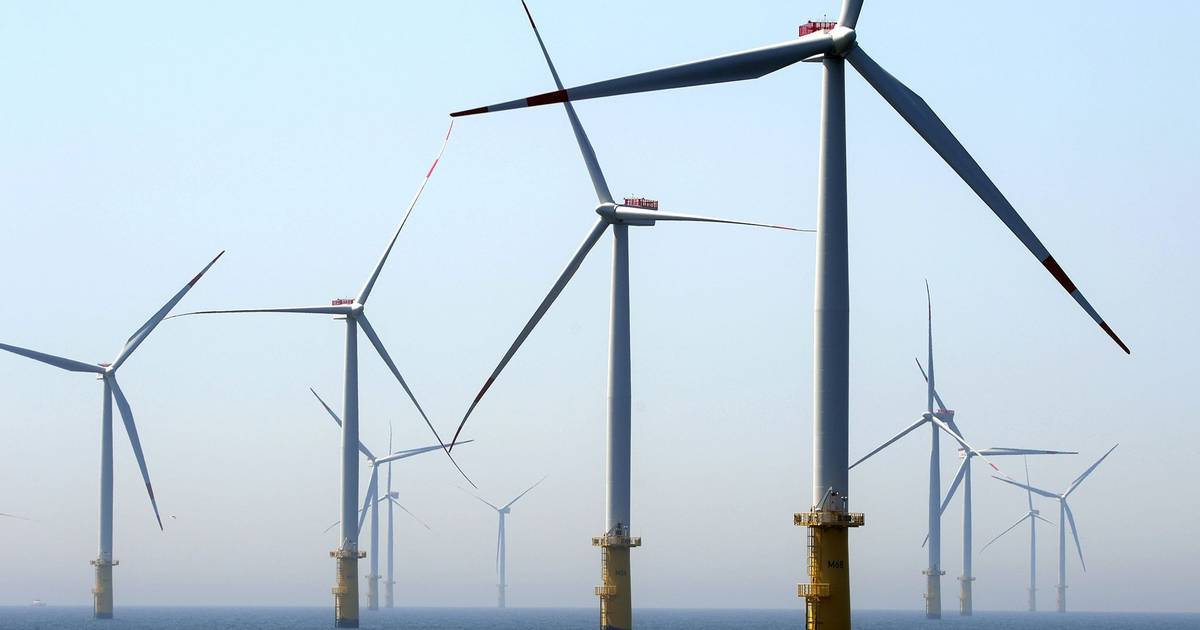 EDP faz acordo com Governo de Trump para abandonar dois projetos eólicos offshore nos EUA