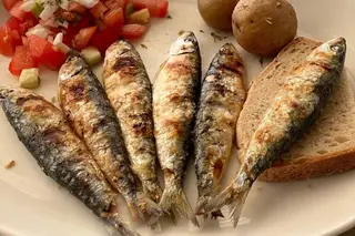 Abbabuja
