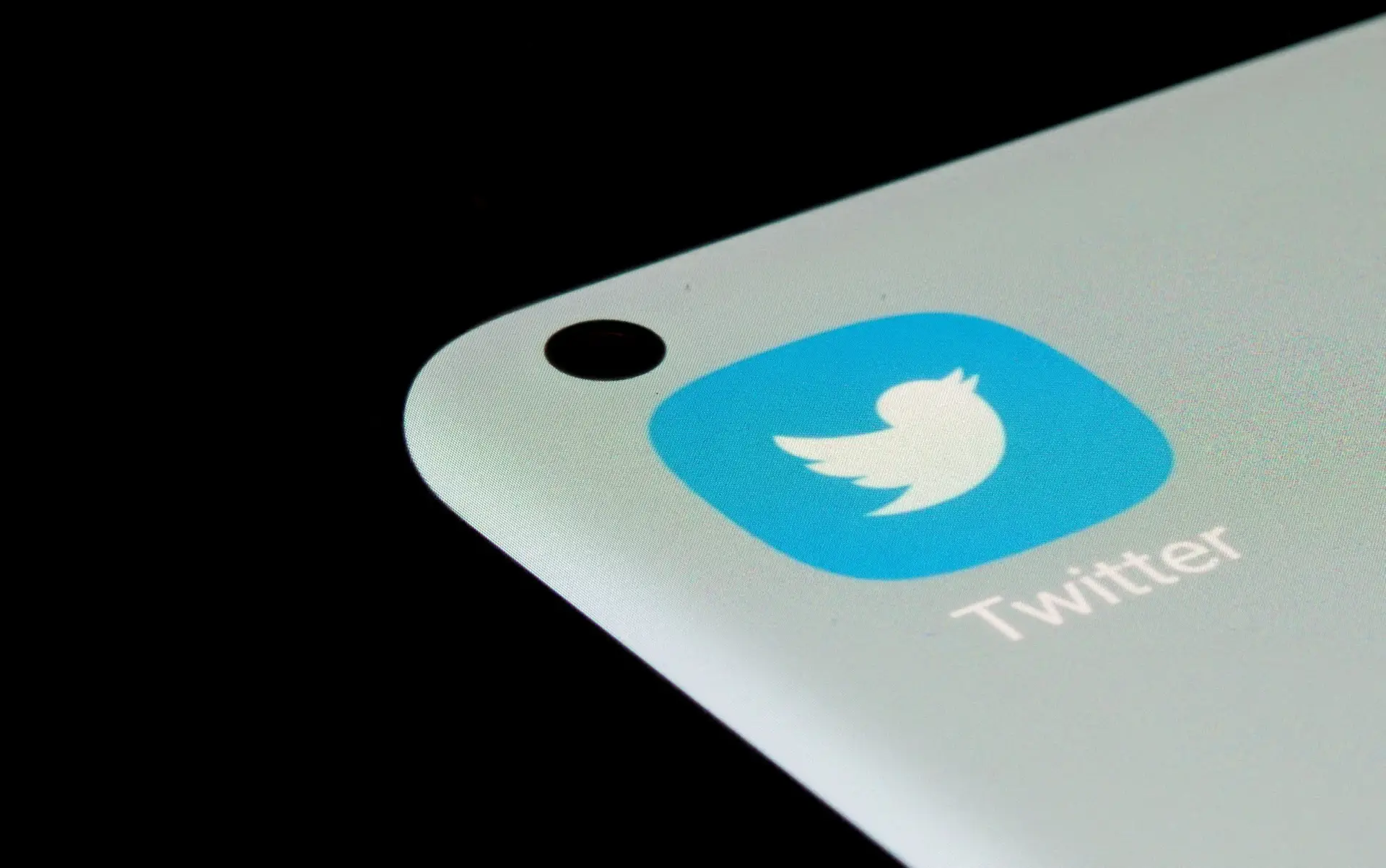 O que fazer se o Twitter fechar? Um pequeno guia para pessoas e empresas