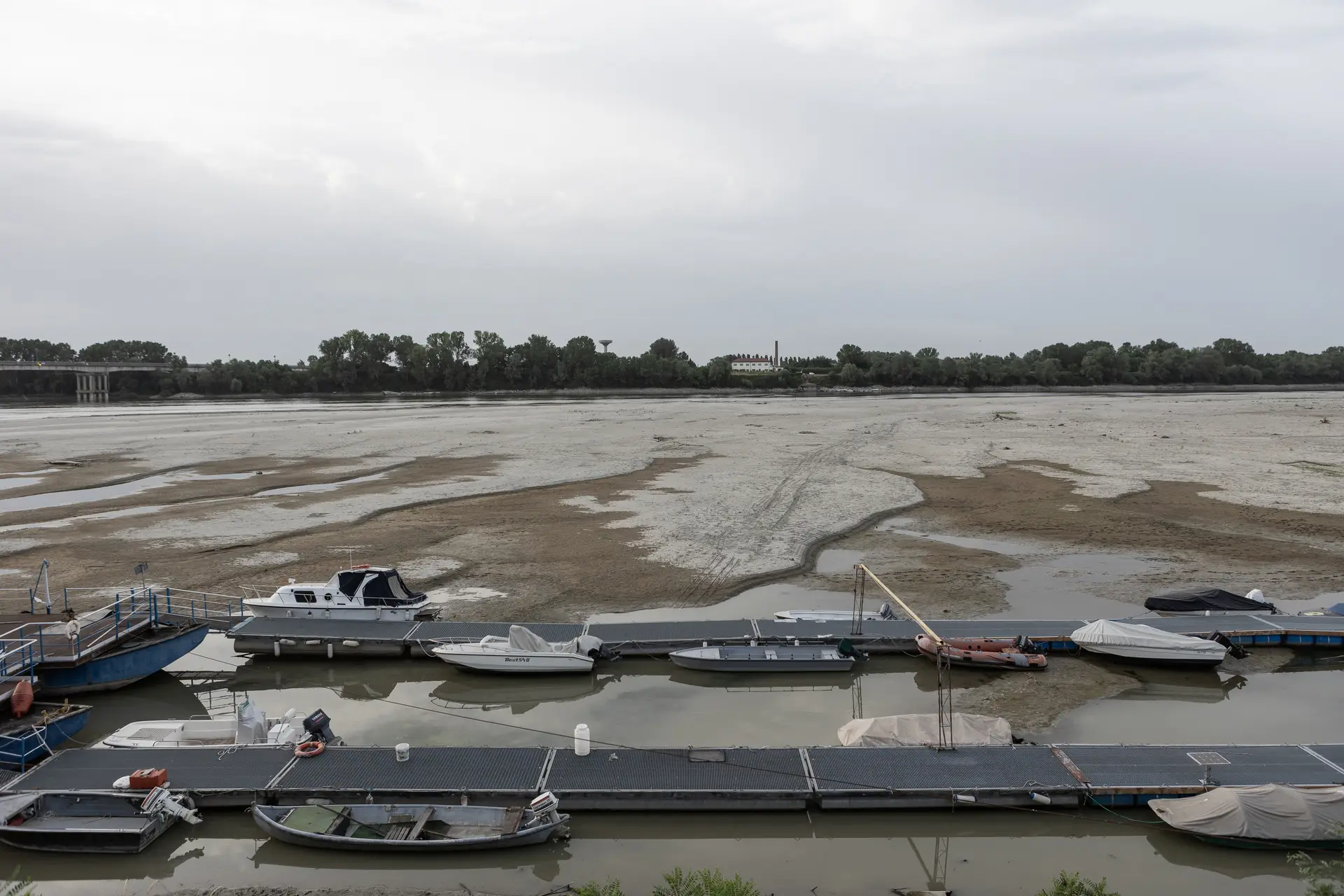 Rios secos e culturas mortas: seca pode tornar-se a pior em 500 anos na Europa
