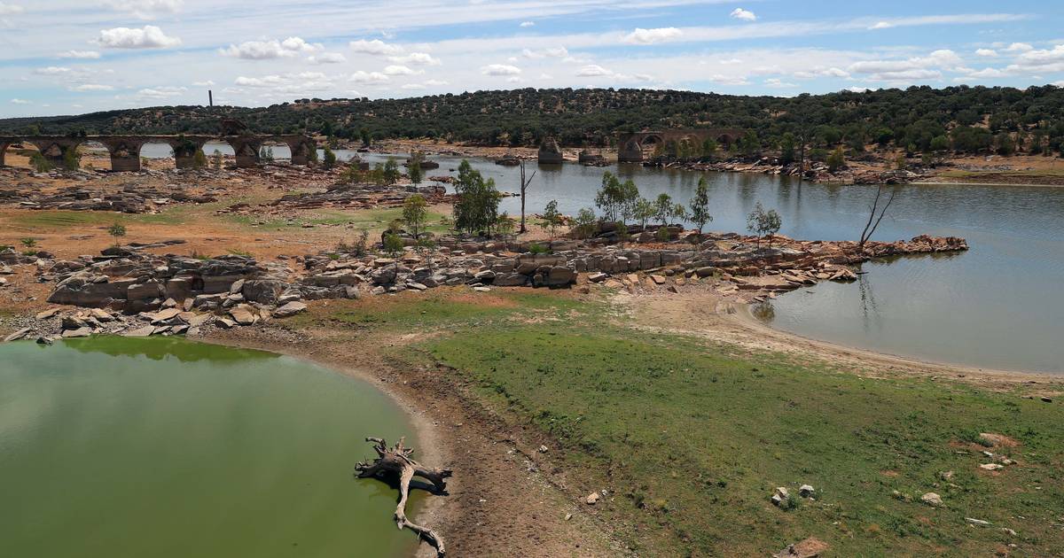 Seca: Portugal não tem défice hídrico, mas um problema de distribuição da água, afirma a SEDES