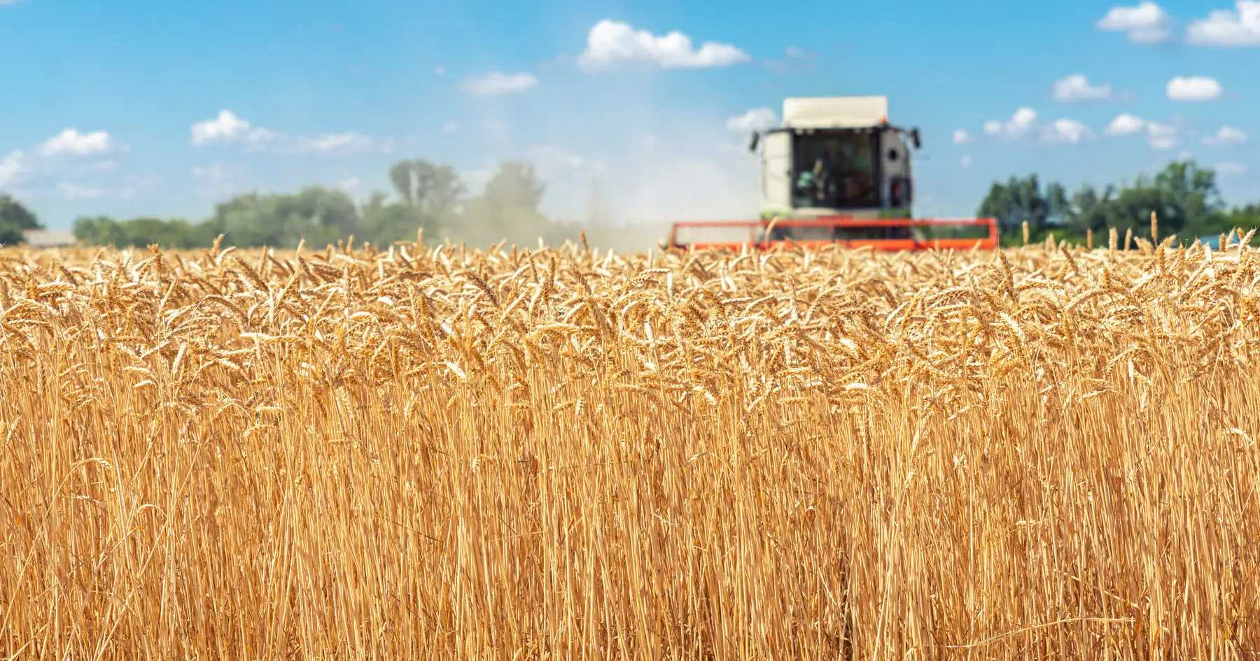 Bruxelas propõe derrogação temporária na PAC para aumentar a produção de cereais