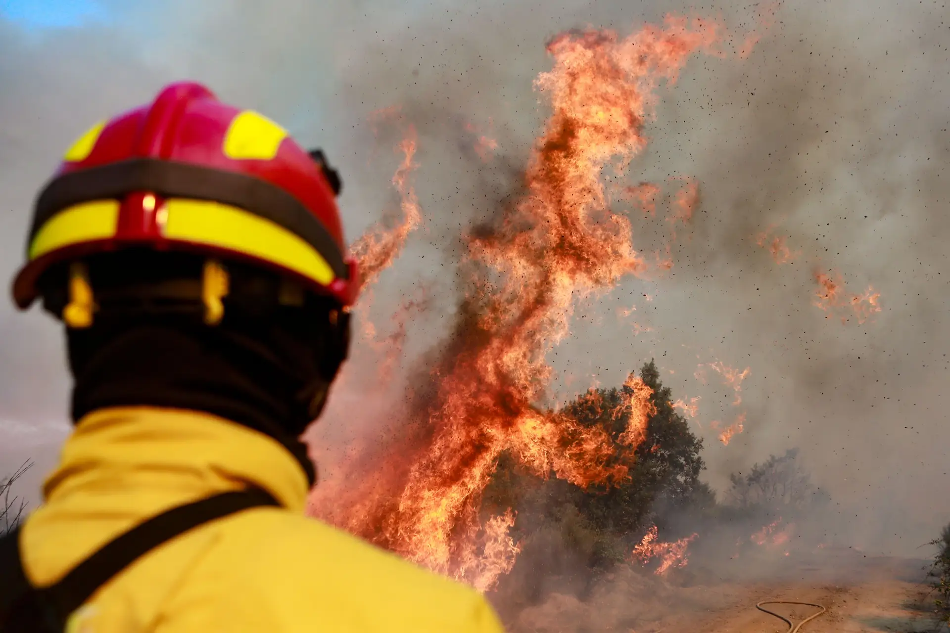 PJ deteve alegado incendiário de fogos de Ourém